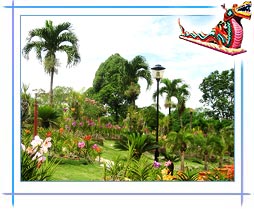 Gardens and Parks