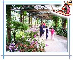 Kuala Lumpur Orchid Garden